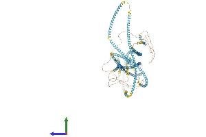 Protein Structure (PS) image for Kinectin 1 (Kinesin Receptor) (KTN1) (AA 1-1357) protein (His tag) (ABIN7554396)