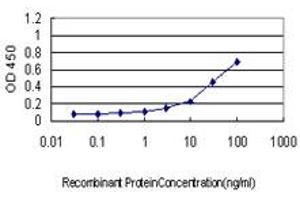 Detection limit for recombinant GST tagged IL13RA1 is approximately 1ng/ml as a capture antibody. (IL13 Receptor alpha 1 Antikörper  (AA 1-427))