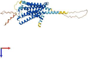 5HT1B Receptor Protein (AA 1-390) (His tag)