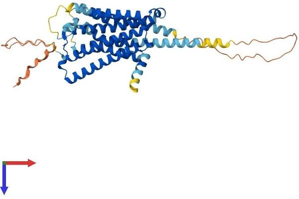 5HT1B Receptor Protein (AA 1-390) (His tag)