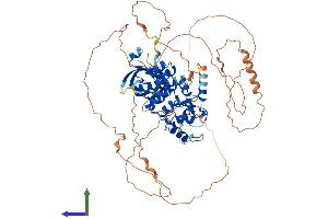 AlphaFold protein structure predicition of Human Recombinant AGAP5 Protein, UniprotID A6NIR3 (AGAP5 Protein (AA 1-686) (His tag))