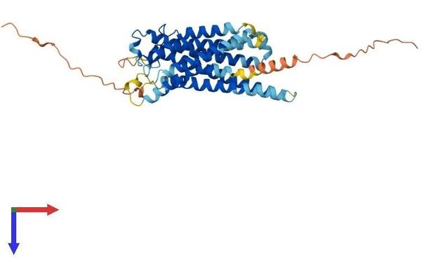 PTGER3 Protein (AA 1-365) (His tag)