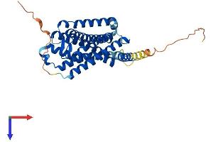 Melatonin Receptor 1A Protein (MTNR1A) (AA 1-350) (His tag)