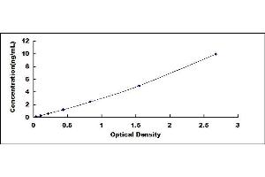 Typical standard curve (CCL28 ELISA Kit)