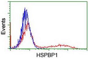 HEK293T cells transfected with either RC201814 overexpress plasmid (Red) or empty vector control plasmid (Blue) were immunostained by anti-HSPBP1 antibody (ABIN2455030), and then analyzed by flow cytometry. (HSPBP1 Antikörper)