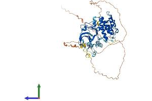 AlphaFold protein structure predicition of Mouse Recombinant Rps6kb1 Protein, UniprotID Q8BSK8