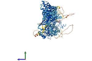 AlphaFold protein structure predicition of Human Recombinant ULK4 Protein, UniprotID Q96C45