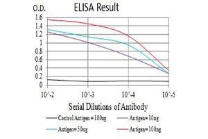 ELISA image for anti-Integrin alpha 2 (ITGA2) (AA 994-1132) antibody (ABIN5684082)