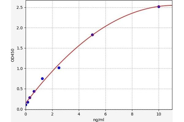 Sestrin 2 ELISA Kit