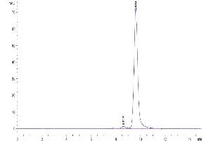 Size-exclusion chromatography-High Pressure Liquid Chromatography (SEC-HPLC) image for Angiopoietin 2 (ANGPT2) (AA 275-496) protein (His tag) (ABIN7273862)