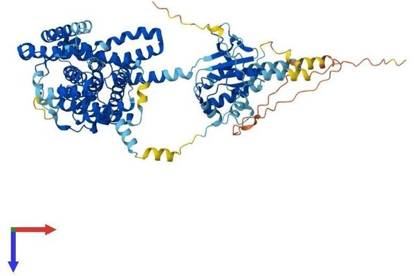 SLC26A5 Protein (AA 1-744) (His tag)