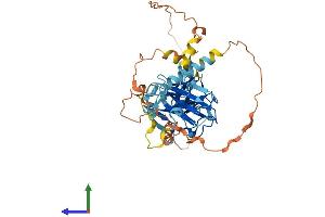 Protein Structure (PS) image for Ring Finger Protein 39 (RNF39) (AA 1-420) protein (His tag) (ABIN7551461)