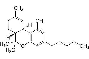 Antigen structure: Tetrahydrocannabinol (THC) (delta-9-Tetrahydrocannabinol Antikörper)