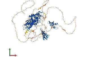Protein Structure (PS) image for Interleukin enhancer-binding factor 3 (ILF3) (AA 1-898) protein (His tag) (ABIN7565285)
