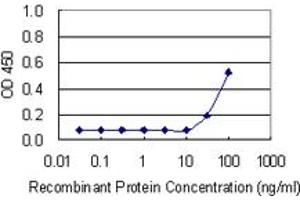 Detection limit for recombinant GST tagged RPS15 is 10 ng/ml as a capture antibody. (RPS15 Antikörper  (AA 1-145))
