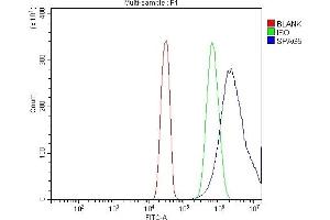 Flow Cytometry analysis of SiHa cells using anti-Astrin/Deepest/SPAG5 antibody (ABIN7602399). (SPAG5 Antikörper  (AA 738-1193))