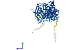 AlphaFold protein structure predicition of Human Recombinant CPNE8 Protein, UniprotID Q86YQ8