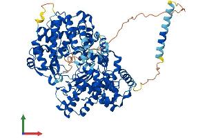 Protein Structure (PS) image for Endothelin Converting Enzyme-Like 1 (ECEL1) (AA 1-775) protein (His tag) (ABIN7561715)