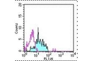 Image no. 1 for anti-Alanyl (Membrane) Aminopeptidase (ANPEP) antibody (FITC) (ABIN474255) (CD13 Antikörper  (FITC))