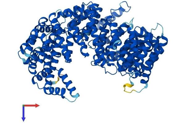 Transportin 3 Protein (TNPO3) (AA 1-923) (His tag)