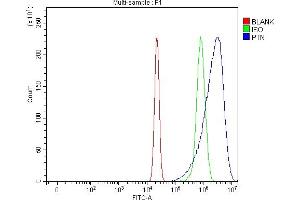 Flow Cytometry analysis of U20S cells using anti-PTN antibody (ABIN7602164).