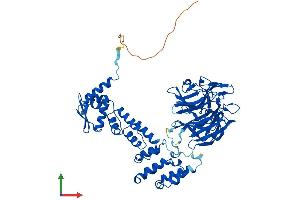 Protein Structure (PS) image for Kelch-Like 2, Mayven (KLHL2) (AA 1-593) protein (His tag) (ABIN7554367)