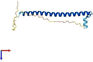 CREBL2 Protein (AA 1-123) (His tag)