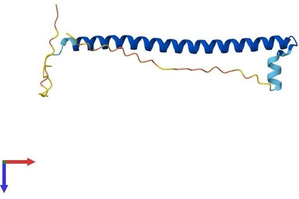CREBL2 Protein (AA 1-123) (His tag)