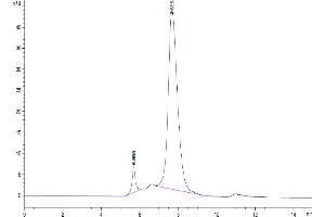 Size-exclusion chromatography-High Pressure Liquid Chromatography (SEC-HPLC) image for Leukocyte Immunoglobulin-Like Receptor, Subfamily B (With TM and ITIM Domains), Member 2 (LILRB2) (AA 24-457) protein (Fc Tag) (ABIN7275162)