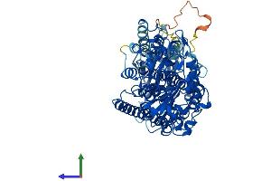 Protein Structure (PS) image for Arachidonate 12-Lipoxygenase, 12R Type (ALOX12B) (AA 1-701) protein (His tag) (ABIN7554494)