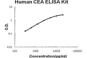 Human CEA Accusignal ELISA Kit Human CEA AccuSignal ELISA Kit standard curve.