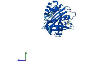 AlphaFold protein structure predicition of Human Recombinant CYB5RL Protein, UniprotID Q6IPT4