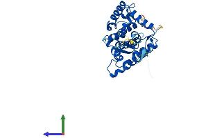 Protein Structure (PS) image for Golgi Phosphoprotein 3-Like (GOLPH3L) (AA 1-285) protein (His tag) (ABIN7559623)
