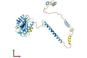 AlphaFold protein structure predicition of Mouse Recombinant Psmd4 Protein, UniprotID O35226