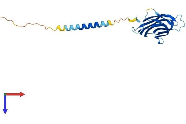 TNFSF4 Protein (AA 1-183) (His tag)