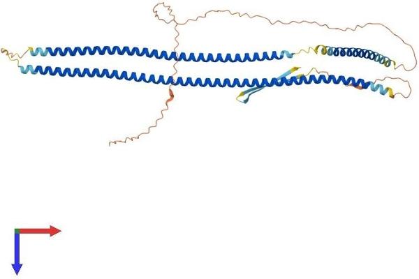 KRT12 Protein (AA 1-487) (His tag)