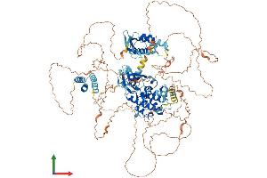 Protein Structure (PS) image for Ribosomal Protein S6 Kinase, 52kDa, Polypeptide 1 (RPS6KC1) (AA 1-1066) protein (His tag) (ABIN7554395)