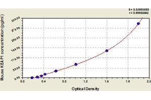 Typical Standard Curve (KEAP1 ELISA Kit)