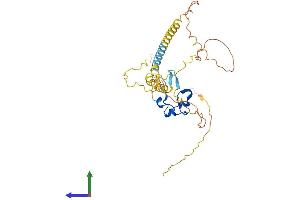 Protein Structure (PS) image for CXXC Finger Protein 5 (CXXC5) (AA 1-322) protein (His tag) (ABIN7546912)