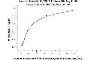 Immobilized Human GH, Tag Free at 5 μg/mL (100 μL/well) can bind Human Prolactin R, His Tag (ABIN5674643,ABIN6253657) with a linear range of 0.