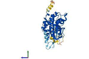 Protein Structure (PS) image for Cyclin-Dependent Kinase 6 (CDK6) (AA 1-326) protein (His tag) (ABIN7563983)