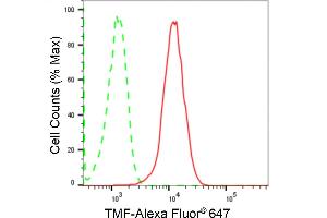 Flow cytometric analysis of TMF expression in HepG2 cells using TMF antibody (ABIN7800518), 1:2,000). (Rekombinanter TMF1 Antikörper)