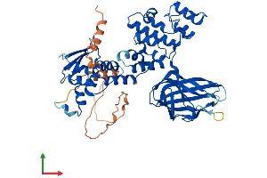 Protein Structure (PS) image for BTB (POZ) Domain Containing 3 (BTBD3) (AA 1-522) protein (His tag) (ABIN7552746)