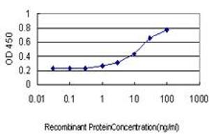 Detection limit for recombinant GST tagged IGSF6 is approximately 1ng/ml as a capture antibody.
