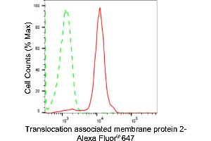 Flow cytometric analysis of Translocation associated membrane protein 2 expression in HepG2 cells using Translocation associated membrane protein 2 antibody (ABIN7800618), 1:2,000). (Rekombinanter TRAM2 Antikörper)