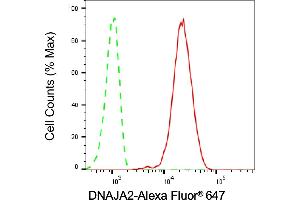 Flow cytometric analysis of DNAJA2 expression in C2C12 cells using DNAJA2 antibody (ABIN7798371), 1:1,000). (DNAJA2 Antikörper)