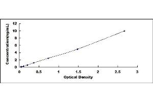 Typical standard curve (DNMT3L ELISA Kit)