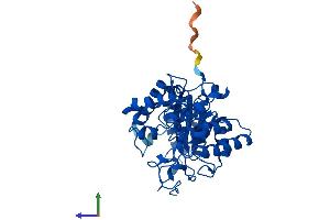 Protein Structure (PS) image for Betaine--Homocysteine S-Methyltransferase 2 (BHMT2) (AA 1-363) protein (His tag) (ABIN7552736)