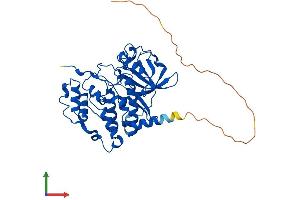 Protein Structure (PS) image for Casein Kinase 2 alpha 1 (CSNK2A1) (AA 1-391) protein (His tag) (ABIN7563874)