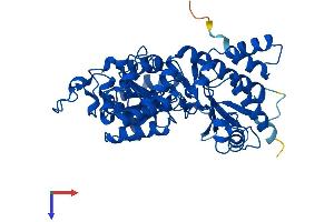 KYNU Protein (AA 1-464) (His tag)